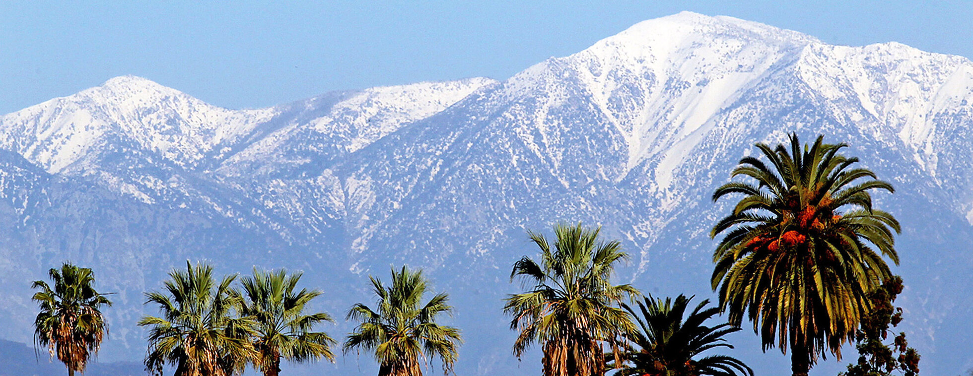 CSArts-SGV Digital Program Advertising 2025-2026 - Pledge